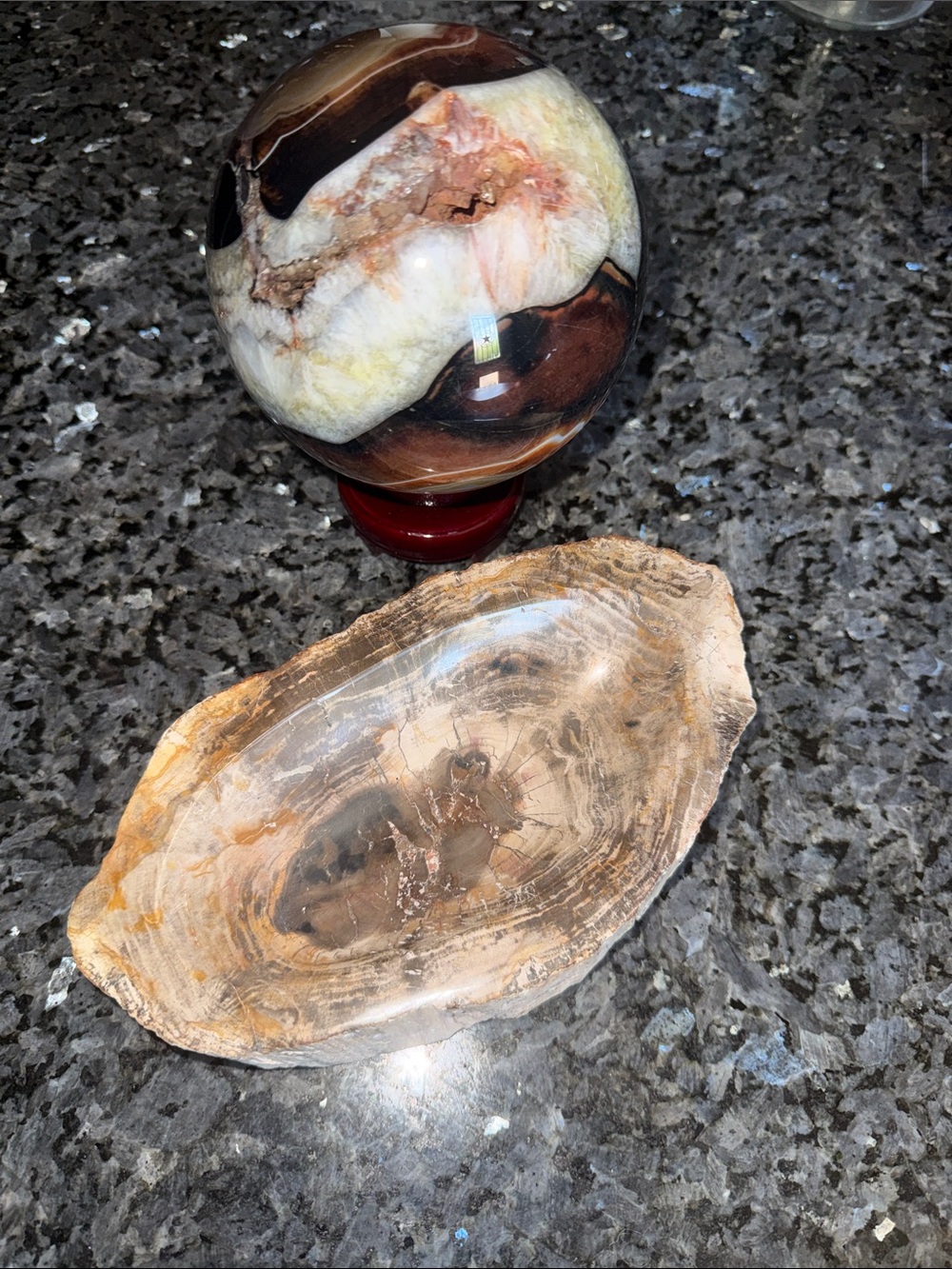 Petrified Wood Custom Bowl A 4.75 x 8.25 4+ LBS - Picture 9 of 12